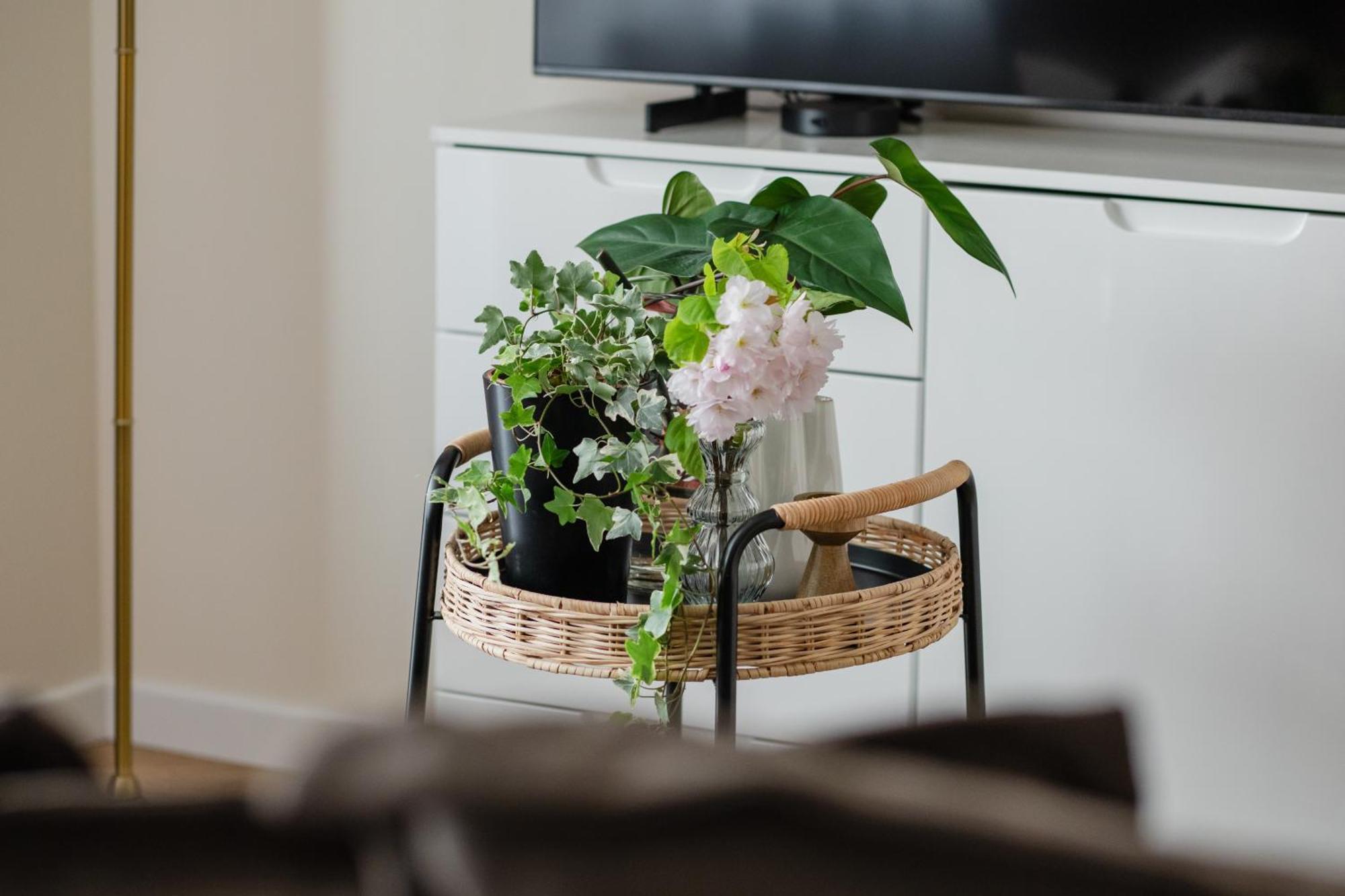 Ts Gold New Town Apartment & Free Private Parking Szczecin Dış mekan fotoğraf